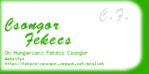 csongor fekecs business card